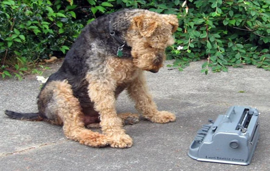 image of a dog looking at a typewriter